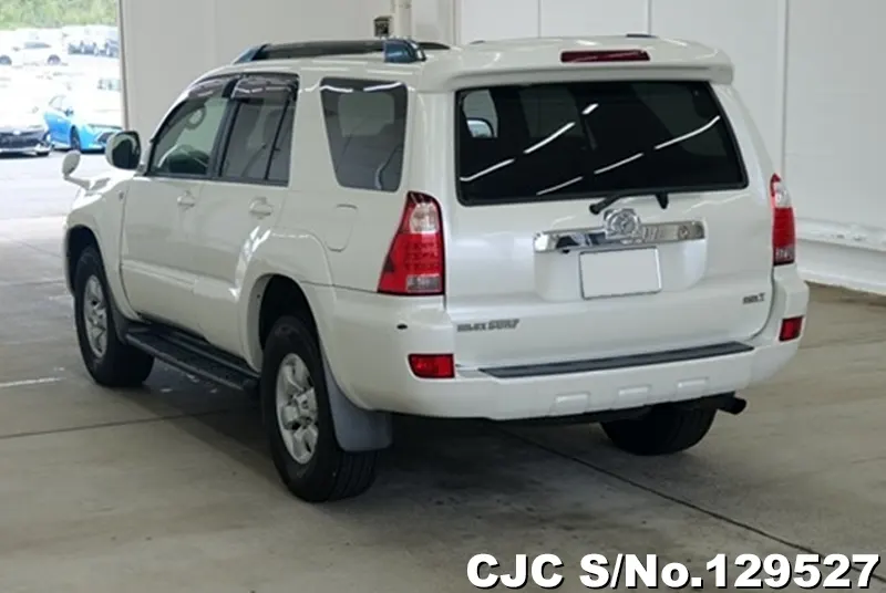 2009 Toyota / Hilux Surf Stock No. 129527