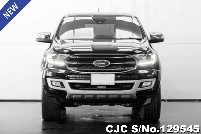 2019 Ford / Everest Stock No. 129545