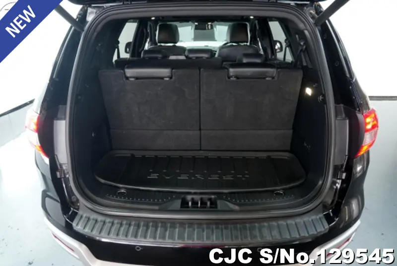 2019 Ford / Everest Stock No. 129545