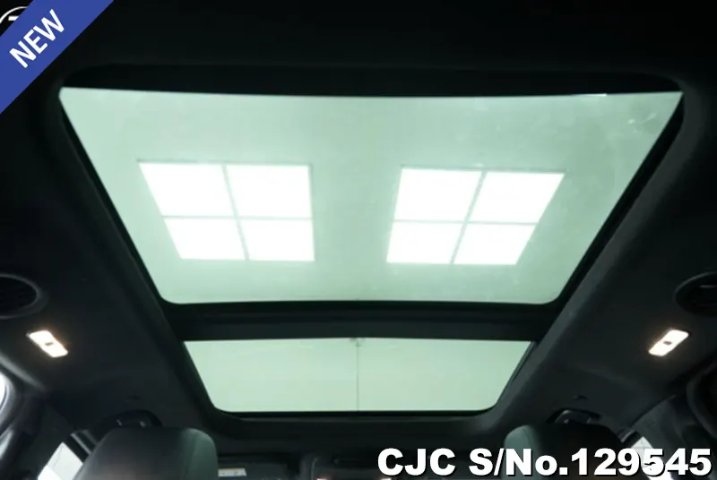 2019 Ford / Everest Stock No. 129545