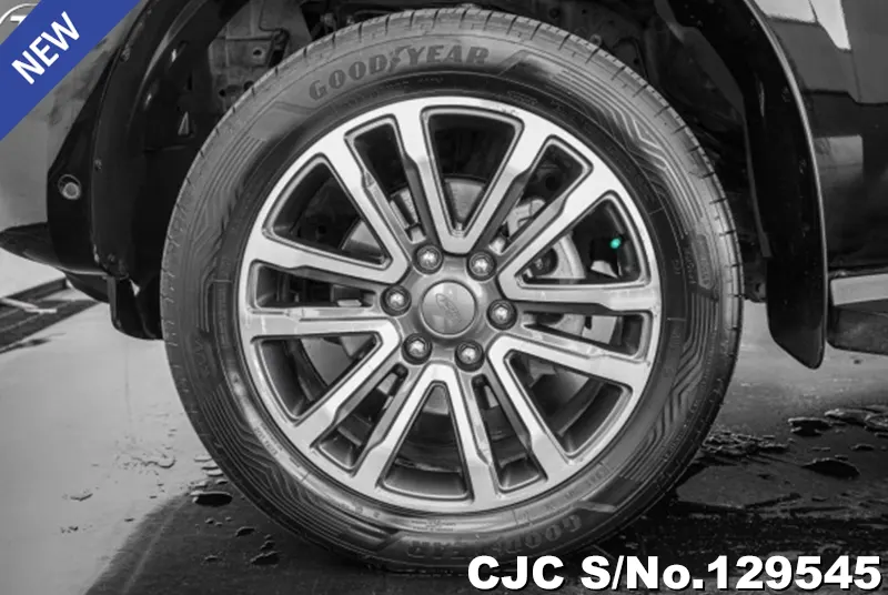 2019 Ford / Everest Stock No. 129545