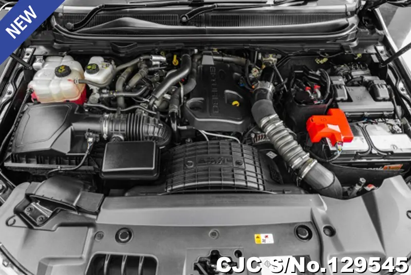 2019 Ford / Everest Stock No. 129545