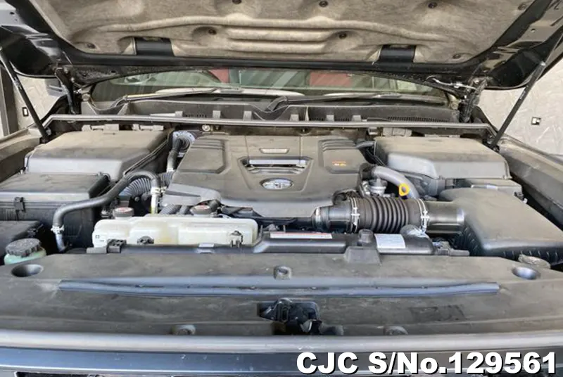 2021 Toyota / Land Cruiser Stock No. 129561