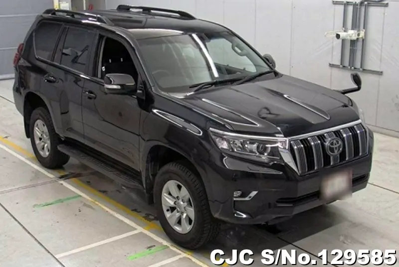 2018 Toyota / Land Cruiser Prado Stock No. 129585