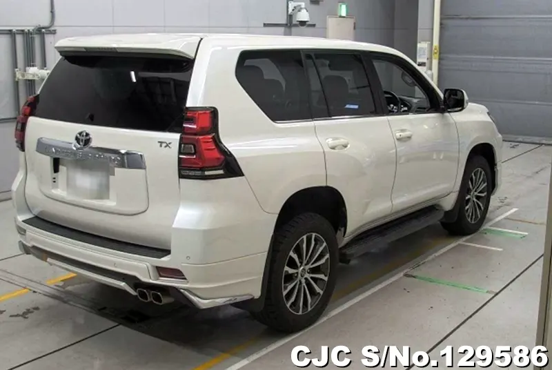 2019 Toyota / Land Cruiser Prado Stock No. 129586