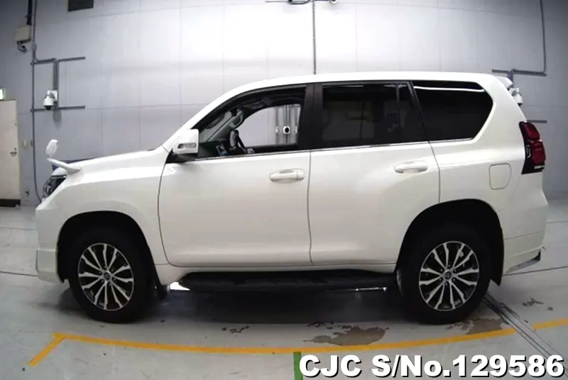 2019 Toyota / Land Cruiser Prado Stock No. 129586