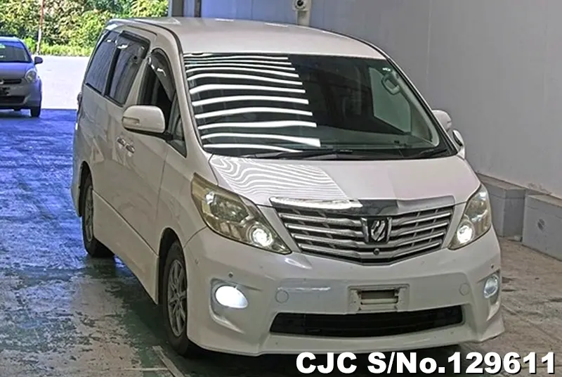 2009 Toyota / Alphard Stock No. 129611
