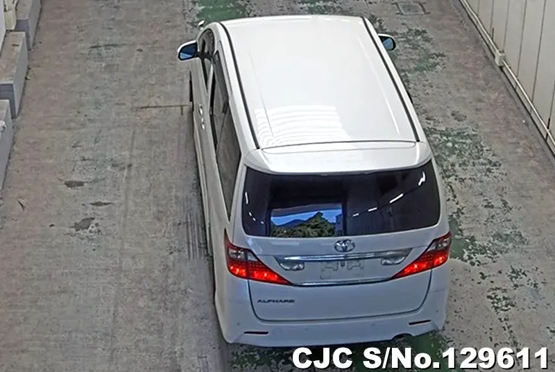2009 Toyota / Alphard Stock No. 129611