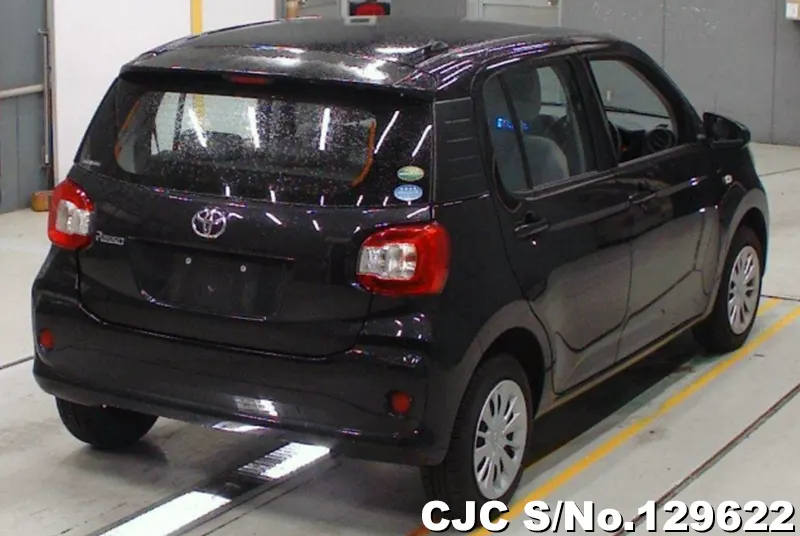 2016 Toyota / Passo Stock No. 129622