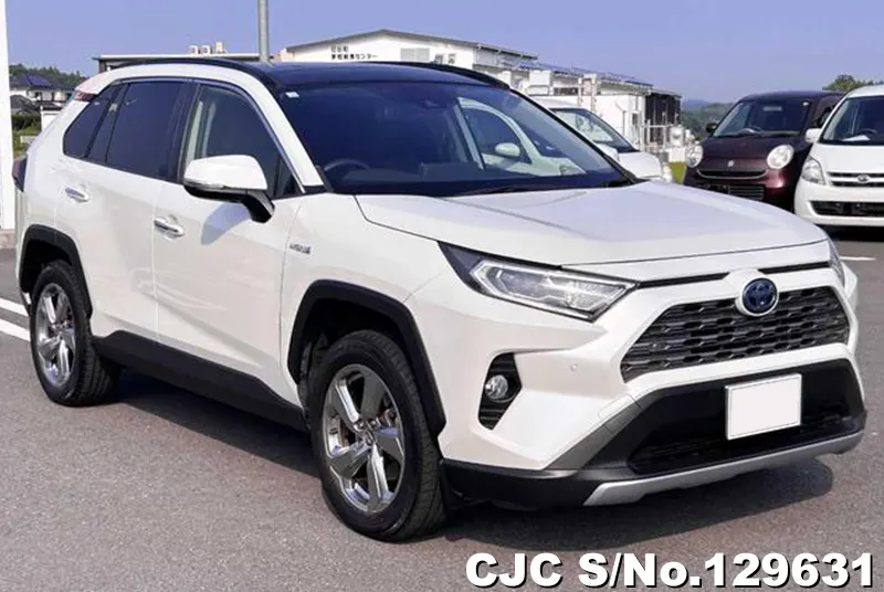 2019 Toyota / Rav4 Stock No. 129631