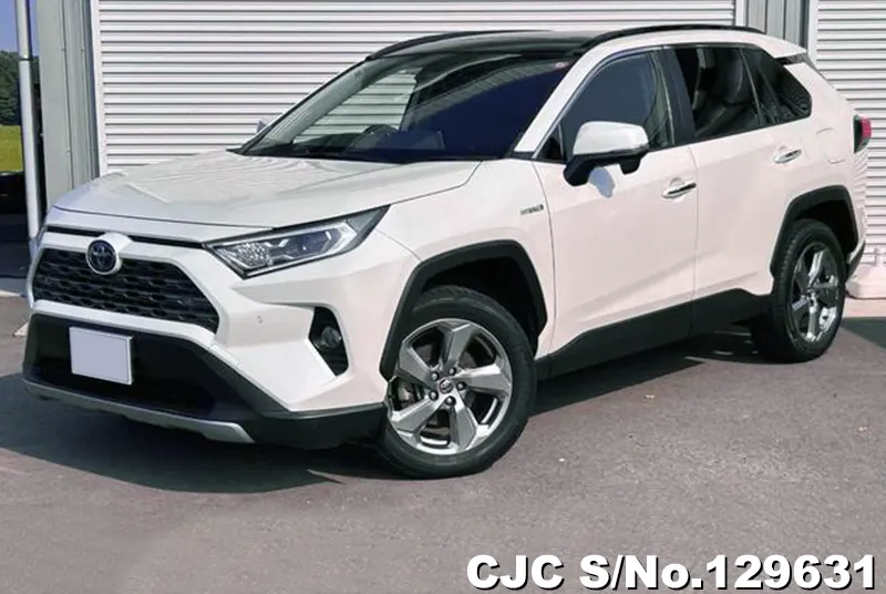 2019 Toyota / Rav4 Stock No. 129631