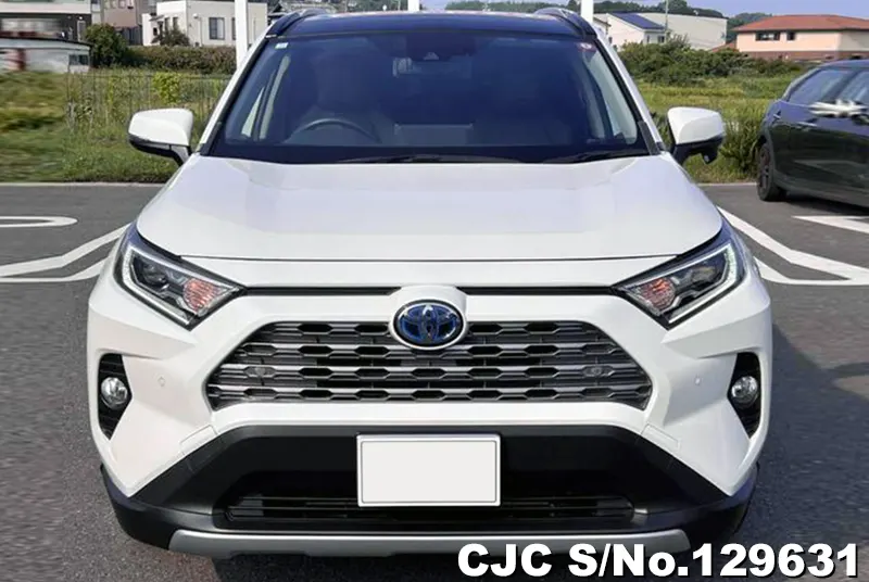 2019 Toyota / Rav4 Stock No. 129631