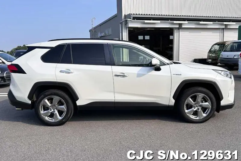2019 Toyota / Rav4 Stock No. 129631