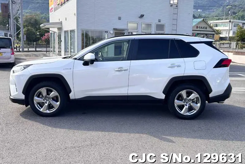 2019 Toyota / Rav4 Stock No. 129631