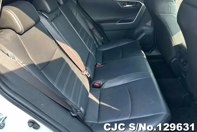 2019 Toyota / Rav4 Stock No. 129631