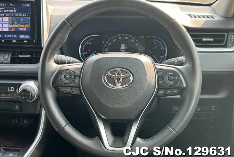 2019 Toyota / Rav4 Stock No. 129631
