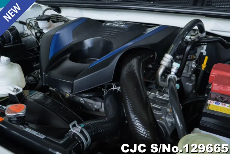 Isuzu D-Max in White for Sale Image 9