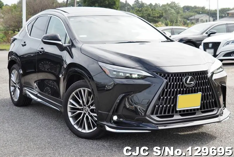 2025 Lexus / NX 350H Stock No. 129695