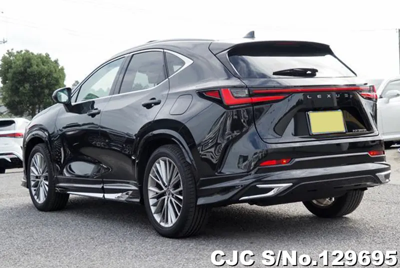 2025 Lexus / NX 350H Stock No. 129695