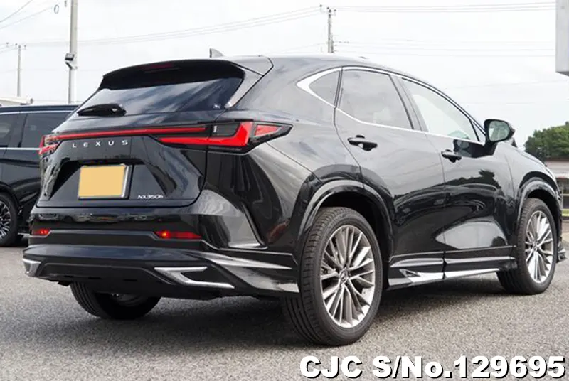 2025 Lexus / NX 350H Stock No. 129695