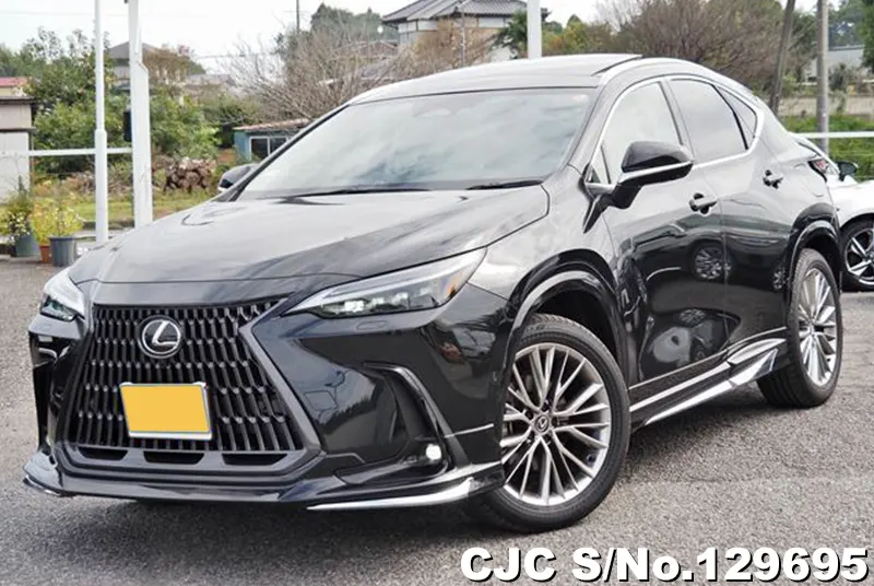 2025 Lexus / NX 350H Stock No. 129695