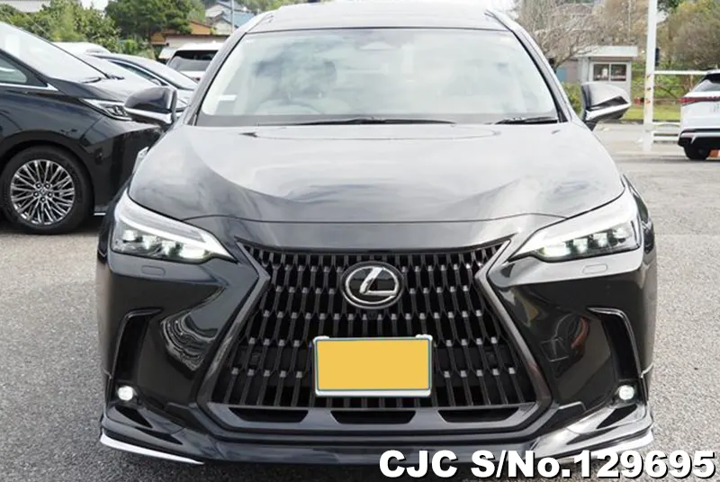 2025 Lexus / NX 350H Stock No. 129695