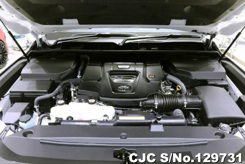 2025 Toyota / Land Cruiser Stock No. 129731