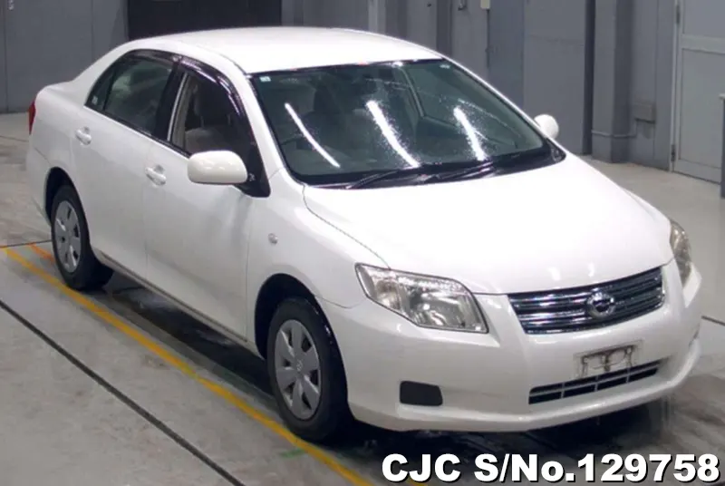 2008 Toyota / Corolla Axio NZE141