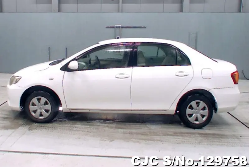 2008 Toyota / Corolla Axio Stock No. 129758