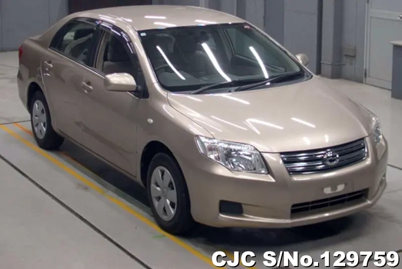 2008 Toyota / Corolla Axio NZE141