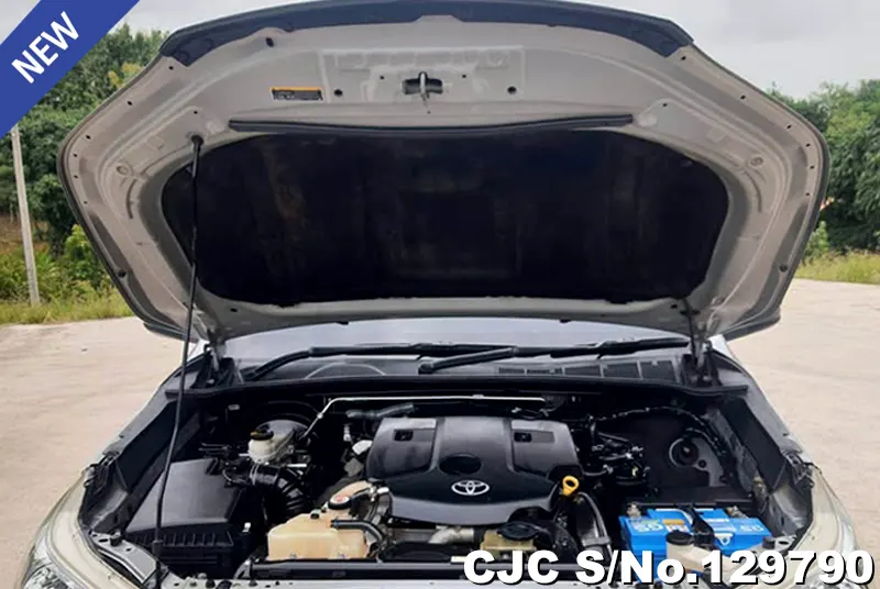 2019 Toyota / Hilux / Revo Stock No. 129790