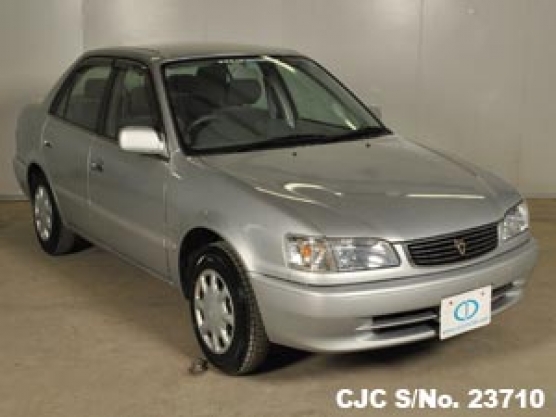 1999 Toyota / Corolla Stock No. 23710