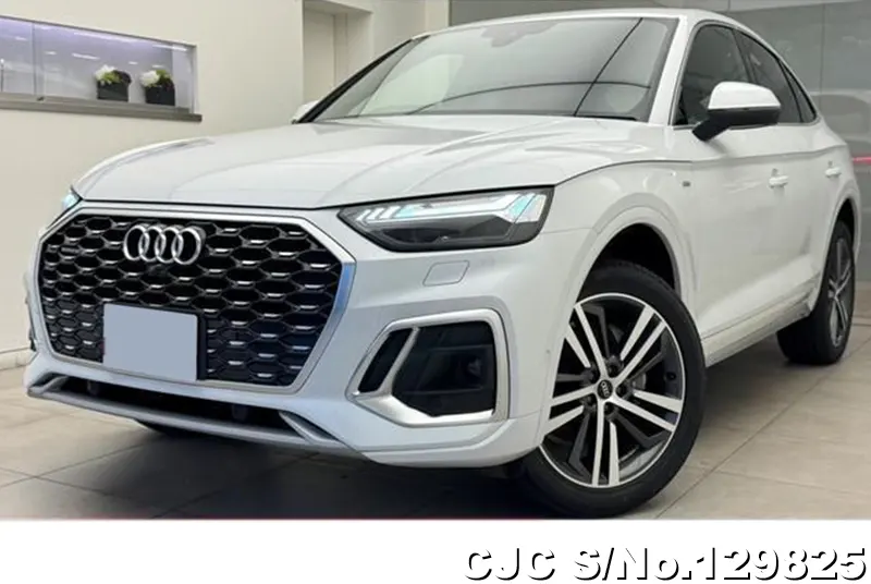2025 Audi / Q5 Stock No. 129825
