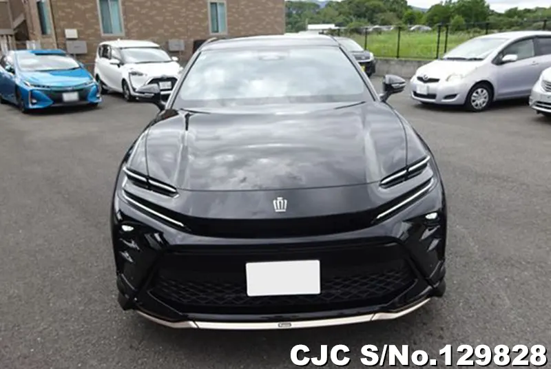 2025 Toyota / Corolla Sport Stock No. 129828