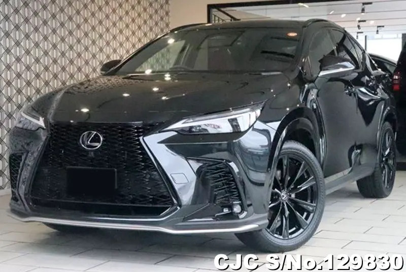 2025 Lexus / NX 350H Stock No. 129830
