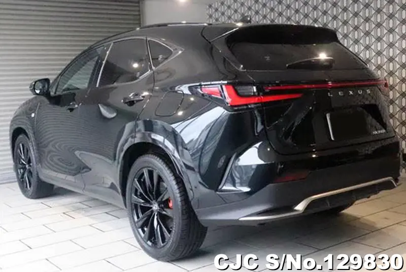 2025 Lexus / NX 350H Stock No. 129830