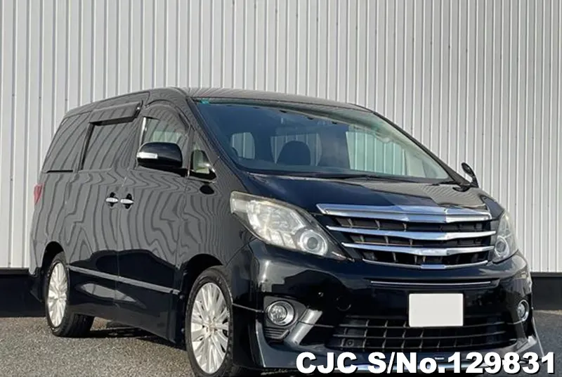 2013 Toyota / Alphard ANH20W