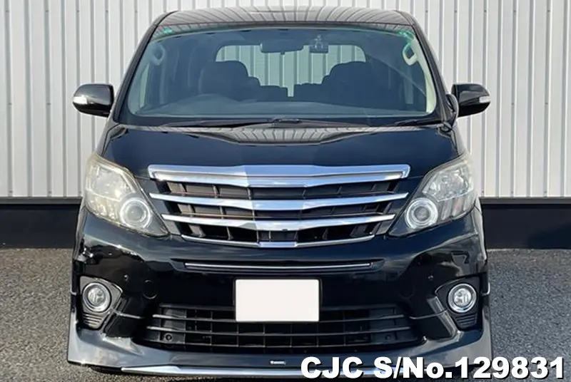 2013 Toyota / Alphard Stock No. 129831