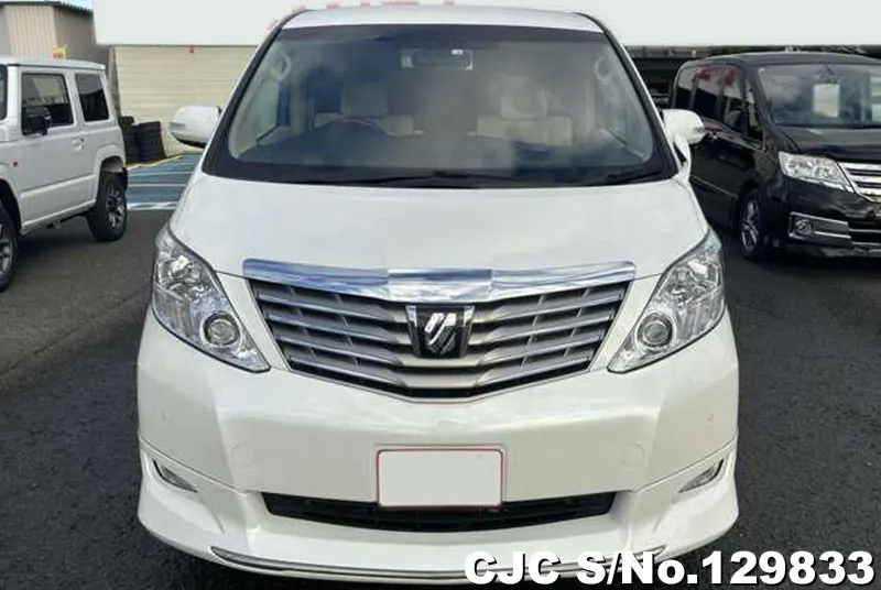 2010 Toyota / Alphard Stock No. 129833