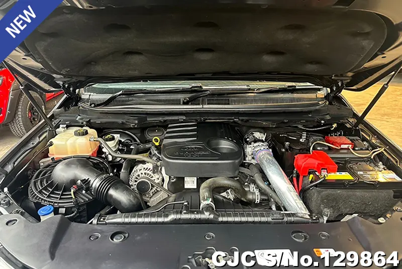 Ford Ranger in Gray for Sale Image 9