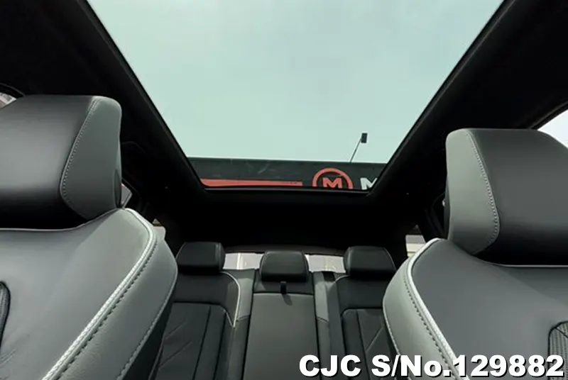 2025 BMW / X3 Stock No. 129882