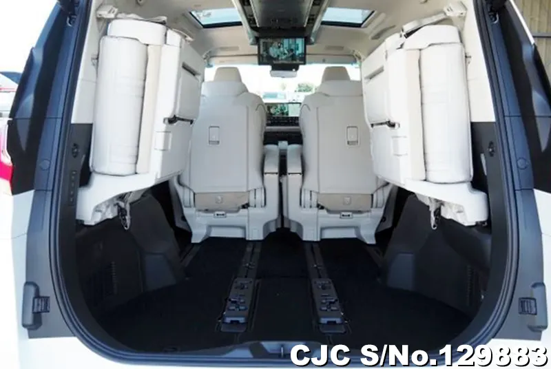 2025 Lexus / LM500h Stock No. 129883