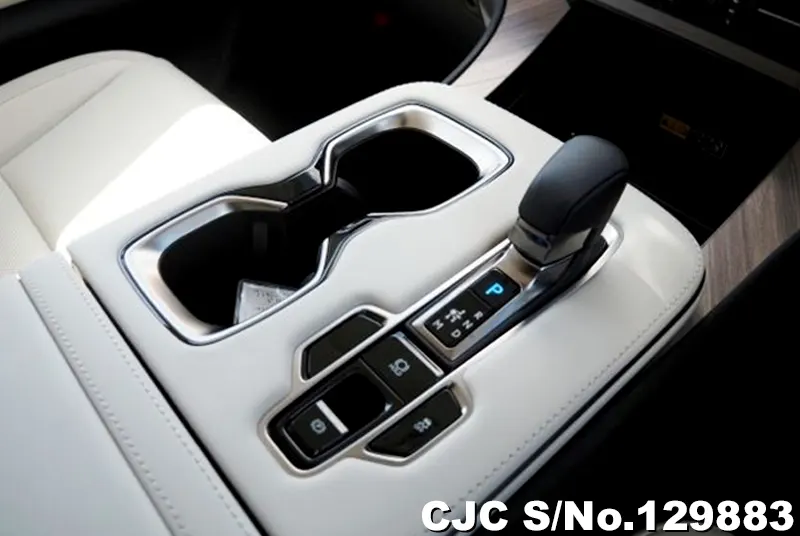 2025 Lexus / LM500h Stock No. 129883