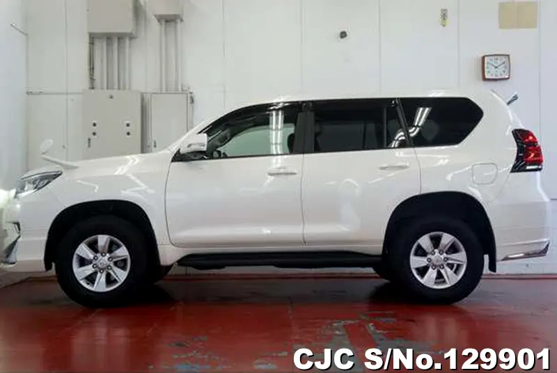2020 Toyota / Land Cruiser Prado Stock No. 129901