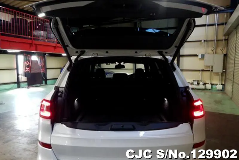 2020 BMW / X5 Stock No. 129902