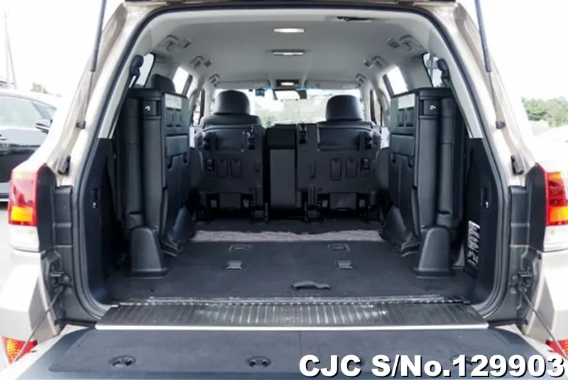 2020 Toyota / Land Cruiser Stock No. 129903