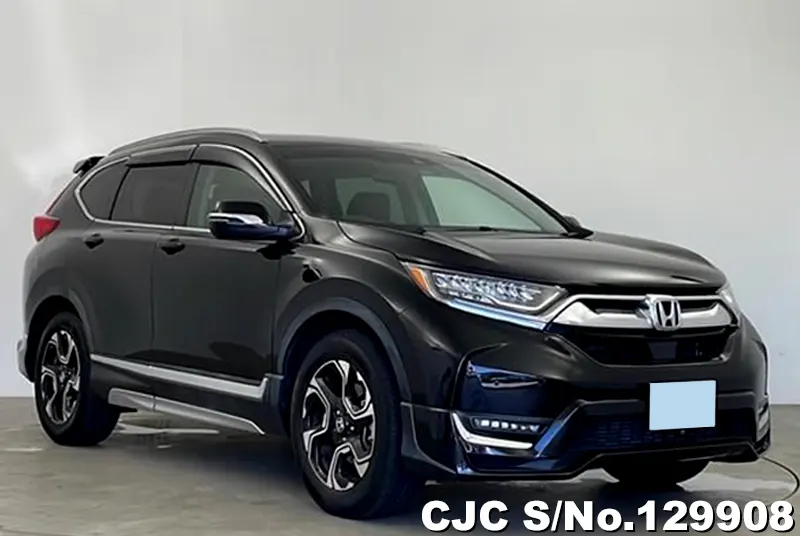 2018 Honda / CRV RW1
