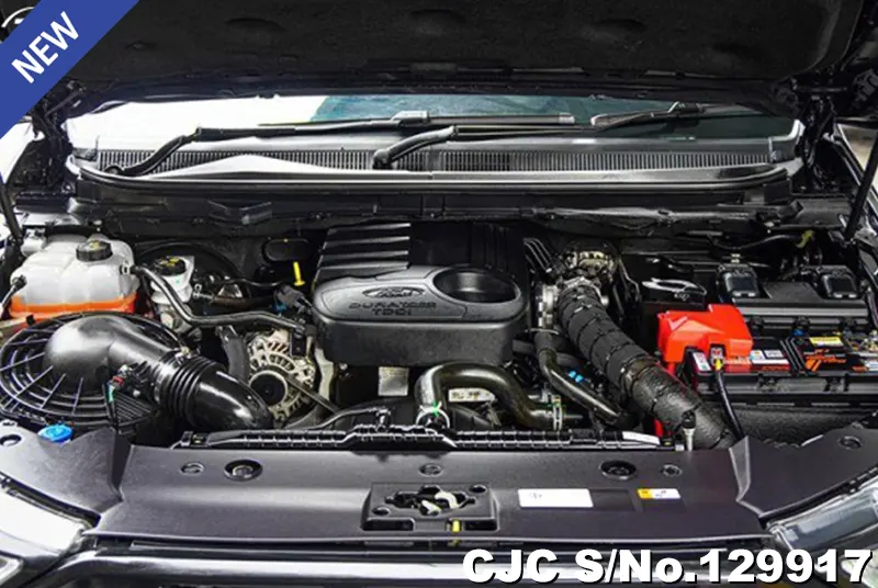 Ford Ranger in Black for Sale Image 11