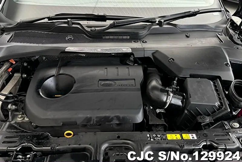 2024 Land Rover / Range Rover / Evoque Stock No. 129924