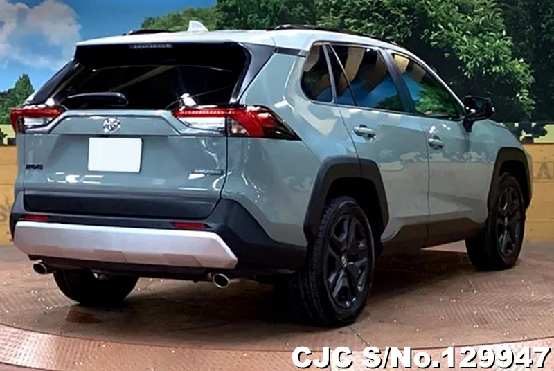 2024 Toyota / Rav4 Stock No. 129947